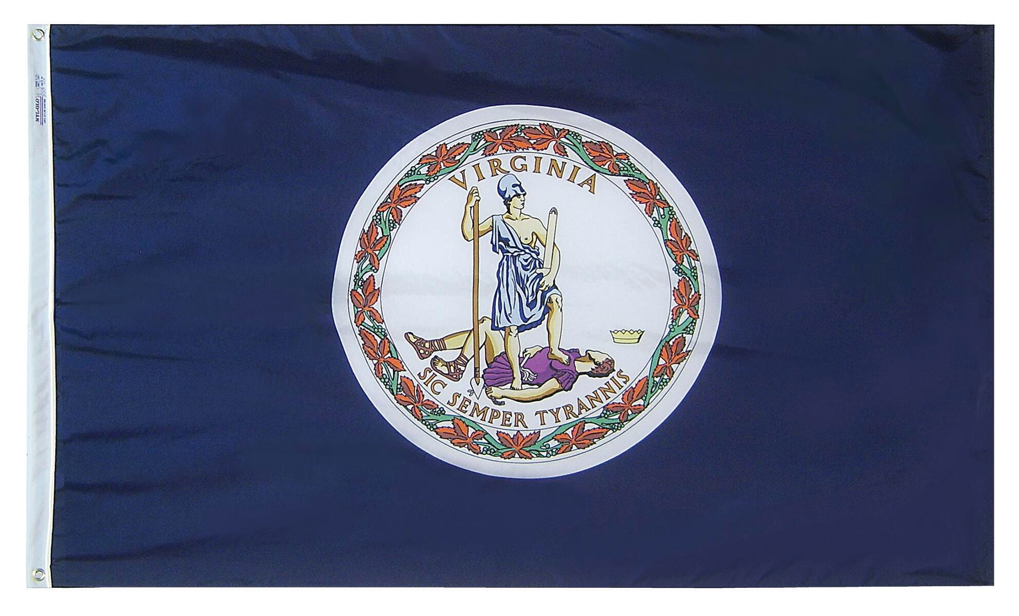 Annin Nylon Virginia Heavy Weight Outdoor State Flag, 4 X 6 ft, Item Number 017385